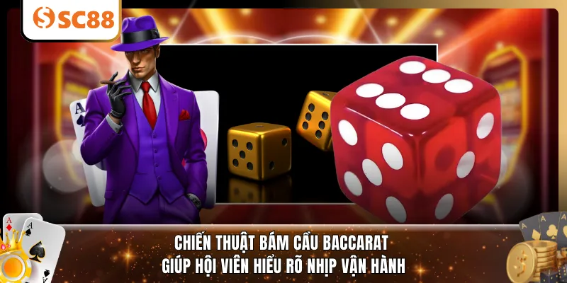 Chiến thuật bám cầu Baccarat giúp hội viên hiểu rõ nhịp vận hành